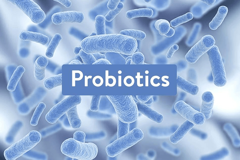 Men vi sinh (Probiotics)